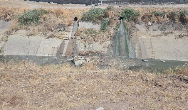 Çevreyi kirleten işletme hakkında yasal işlem başlatıldı