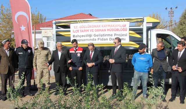 Çiftçilere 4 bin zeytin fidanı dağıtıldı