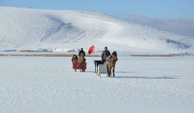Çıldır Gölü'nde kış masalı: Atlı kızaklar buz üstünde halaylarla sezonu açtı