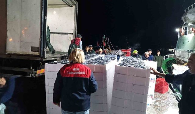 Demirköy'de hamsi denetimi