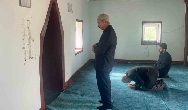 Diyarbakır'da bir caminin mihrap kısmındaki duvardan çıkan bitkinin yaprakları yeşerdi