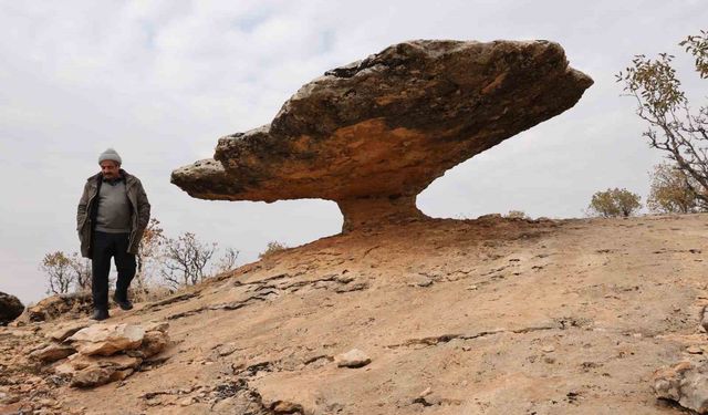 Diyarbakır'da buzul çağ kalıntısı: Tam 6 milyon yıl önceye ait