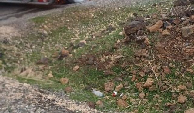 Diyarbakır'da seyir halindeki tır alev aldı