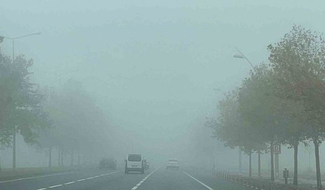 Diyarbakır'da sis etkili oldu