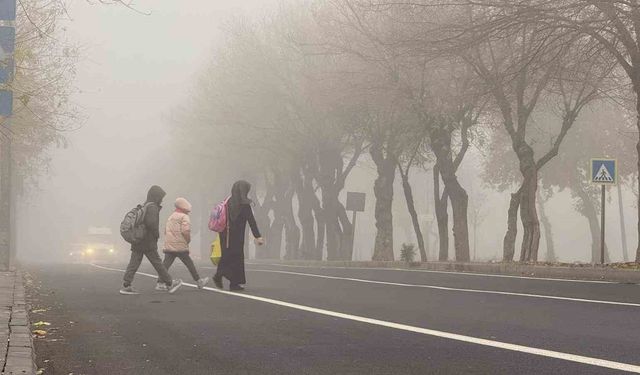 Diyarbakır'da sis görüş mesafesini düşürdü