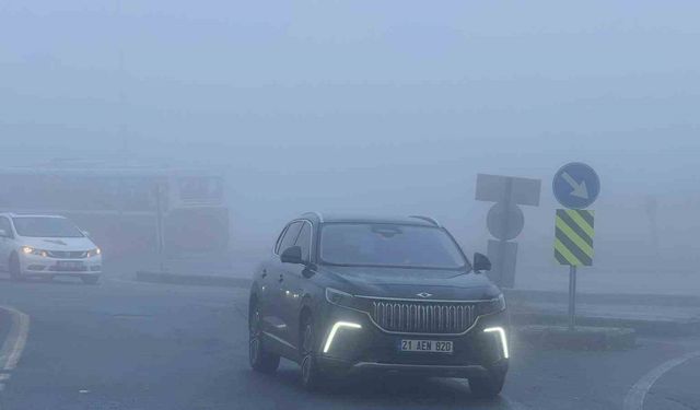 Diyarbakır'da uçak seferlerine sis engeli