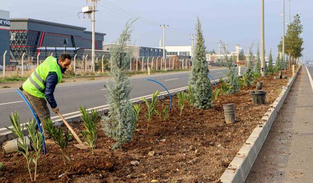 Diyarbakır'ın 14 kilometrelik girişi ağaçlandırılıyor