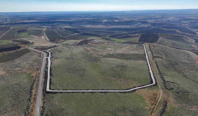 Doğal yaşam alanı 195 dönüm üzerinde kurulacak