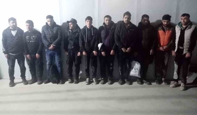 Edirne'de 20 kaçak göçmen sınırda yakalandı