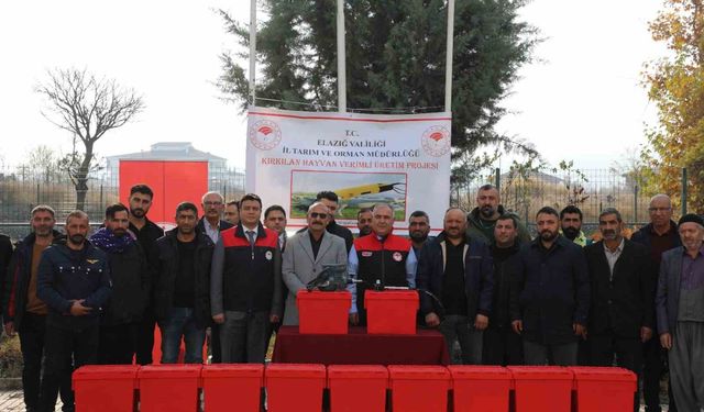 Elazığ'da hayvan üreticilerine kırkım makinası verildi