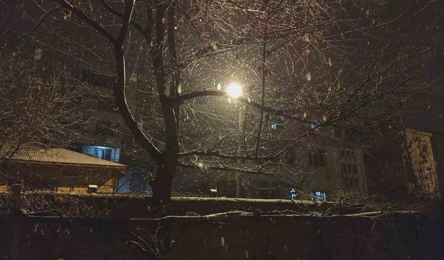 Erciş'te kar yağışı