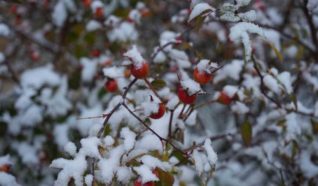 Erzurum güne karla başladı