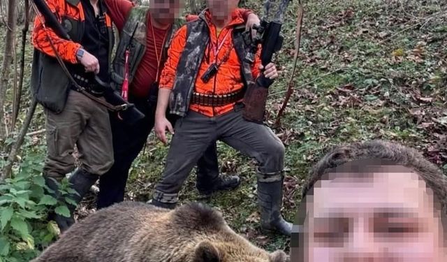 Evlere ve vatandaşlara zarar veren ayı için başlatılan av sonuç verdi, ilk ayı vuruldu