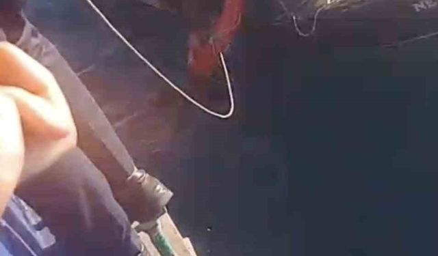 Feribottan atlayan kişiyi Gestaş personelleri ve balıkçılar kurtardı