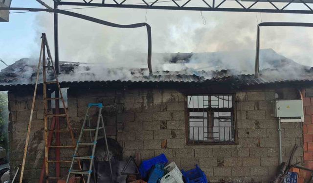 Fethiye'de ev yangınında yaralanan 92 yaşındaki kadın hayatını kaybetti