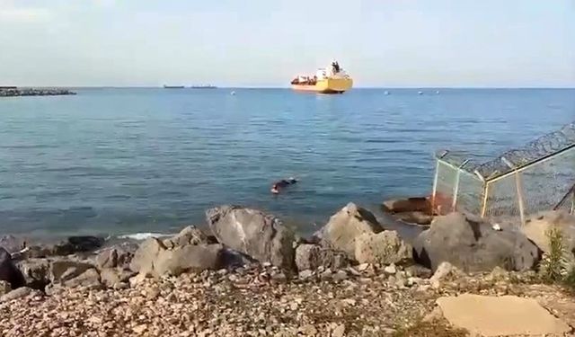 Gemiden denize düşen angus yüzerek karaya ulaştı