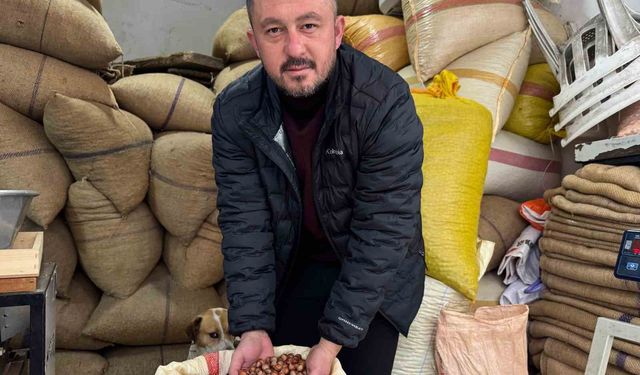 Giresun'da fındık fiyatı yılbaşına günler kala yükselişe geçti