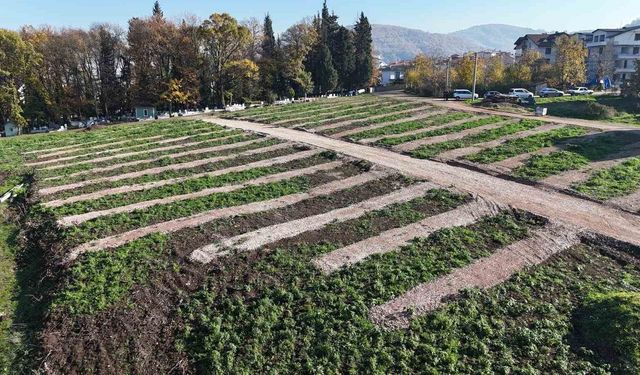 Gölcük'e yeni mezarlık alanları hazırlandı