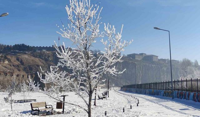 Göle eksi 16 dereceyi gördü, ağaçlar kırağı tuttu