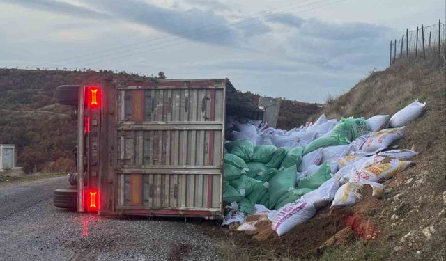 Gördes'te yem yüklü tır devrildi: 1 yaralı