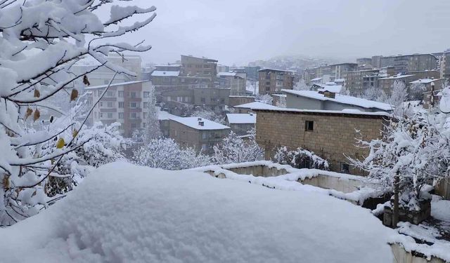 Hakkari'de 13 köy ve 30 mezra yolu ulaşıma kapandı