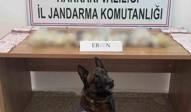 Hakkari'de 5 kilo 815 gram eroin ele geçirildi