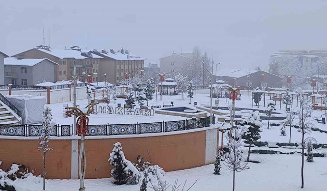Hakkari'de kar yağışı kartpostallık manzaralar oluşturdu