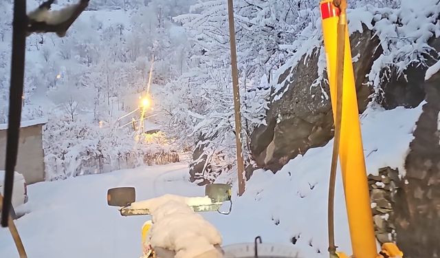 Hakkari'de karla mücadele ekibi gece kar mesaisinde