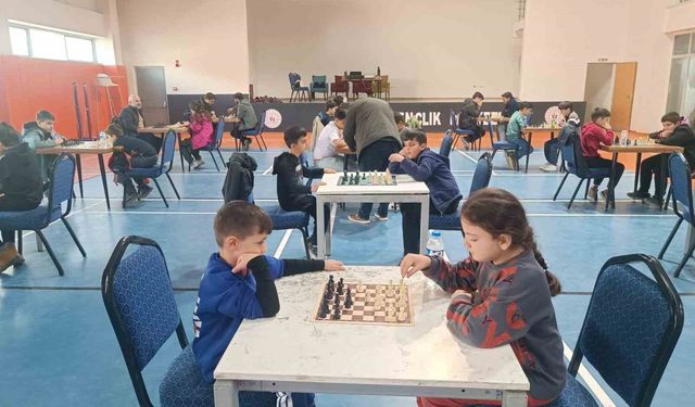 Hakkari'de 'satranç il birinciliği' yapıldı