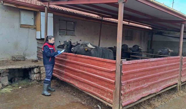 'Halk Elinde Anadolu Mandasının Islahı Projesi' devam ediyor