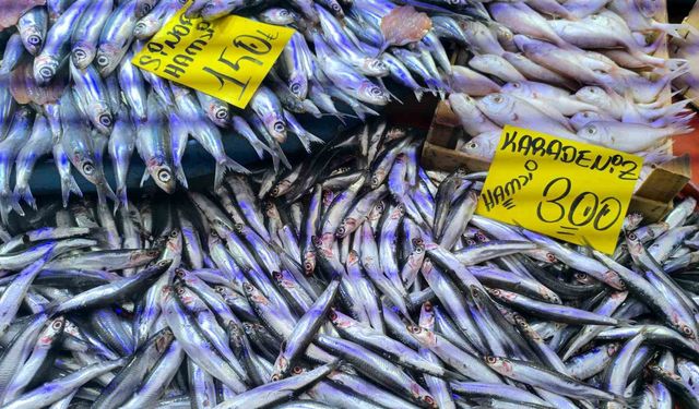 Havaların soğumasıyla balık tezgahlarında alışverişler hızlandı