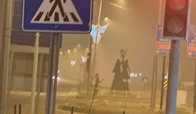 Iğdır'da gece saatlerinde yoğun sis etkili oldu