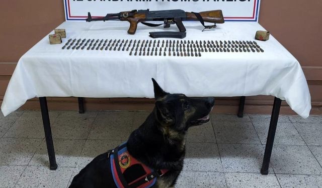 Iğdır'da silah kaçakçılığı operasyonu: Kalaşnikof tüfeği ve 264 fişek ele geçirildi