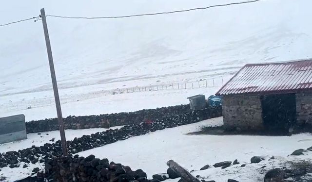 Iğdır'ın yüksek kesimleri beyaza büründü