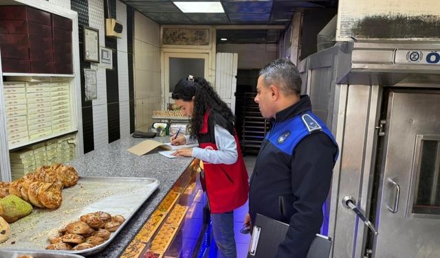 İstanbul'da yıl içinde 220 bin gıda denetimi yapıldı