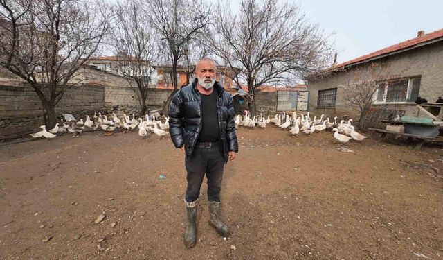 İstanbul'dan memleketi Yozgat'a döndü, binlerce hayvan üreterek geçimini sağlıyor