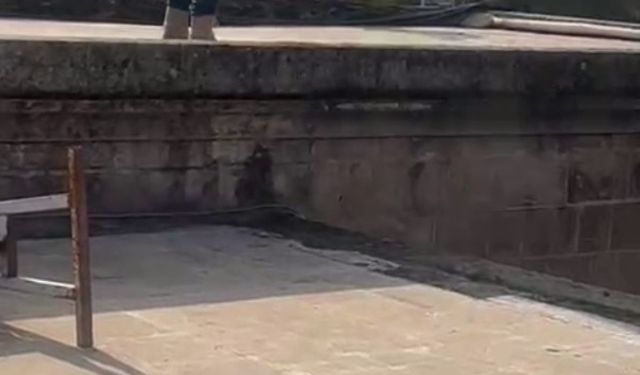 'İşten atıldım' diyerek Balıklıgöl'e atladı