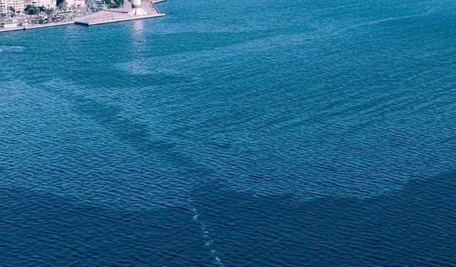 İzmir Körfezi'nde çevre kirliliği
