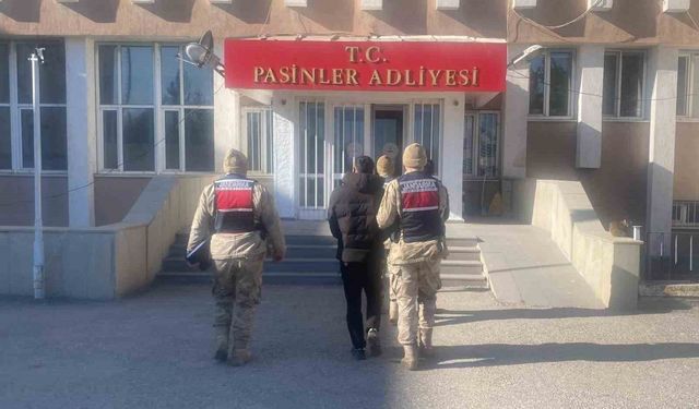 Jandarma büyükbaş hayvan hırsızlarını kısa sürede yakaladı