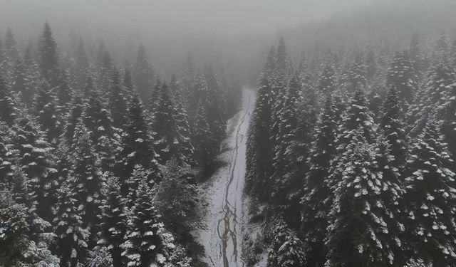 Karabük'ün yüksek kesimleri beyaza büründü