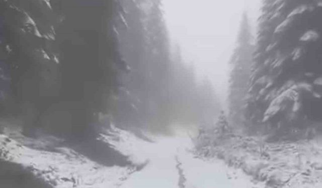 Karabük'ün yüksek kesimlerinde kar yağışı devam ediyor