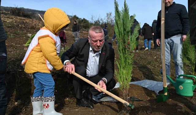 Karacabey'de yangın sonrası ilk fidanlar toprakla buluştu
