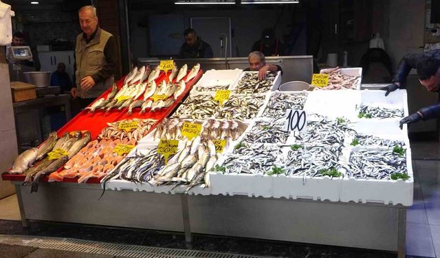 Karadeniz'de hamsi bereketi yaşanıyor
