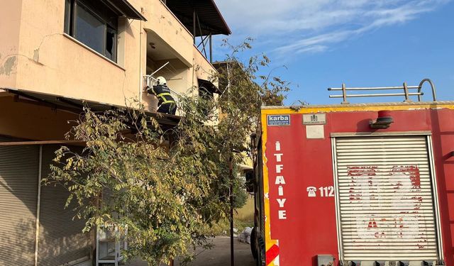 Kırıkhan'da çatıda mahsur kalan kediyi itfaiye kurtardı