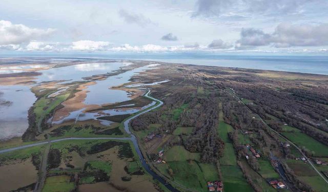 Kızılırmak Deltası'nda yer altı suları beslenemiyor: Her yıl su seviyesi düşüyor