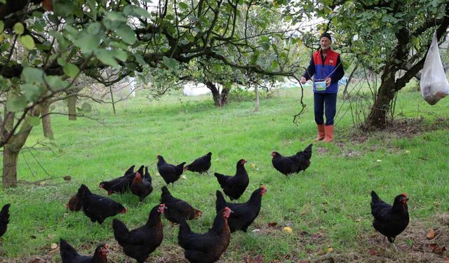 Kocaeli'de kırsal kalkınmaya 'kanatlı' destek
