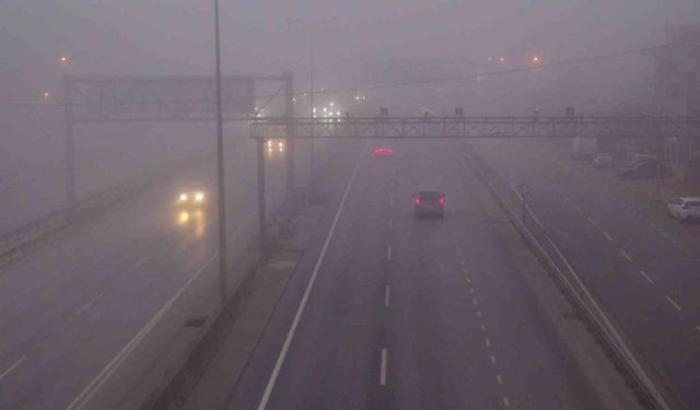 Kocaeli'de yoğun sis trafiği olumsuz etkiledi: Görüş mesafesi 75 metreye düştü