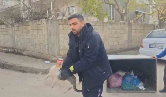 Konserve kutusuna sıkışan kedi kurtarıldı