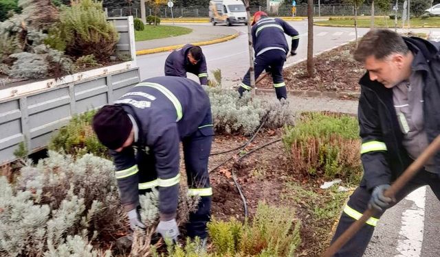 Körfez'de yeşil alanlar çiçeklerle süsleniyor