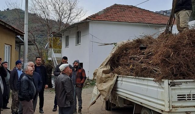 Köşk'te köklü kestane fidanları üreticilere dağıtıldı